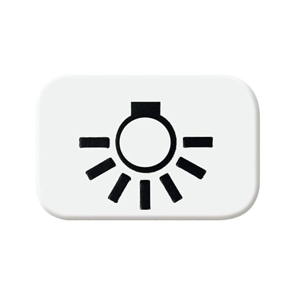 Busch-Jaeger Tastersymbol aws Licht 2525 LI-214